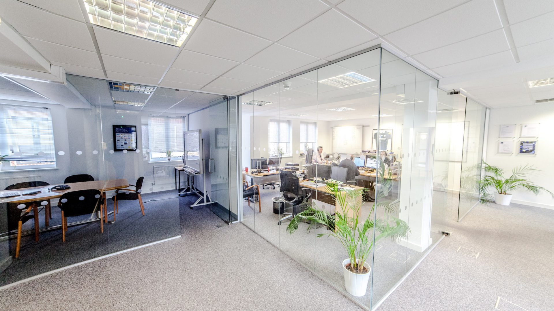 SCi Sales Group office glass partition