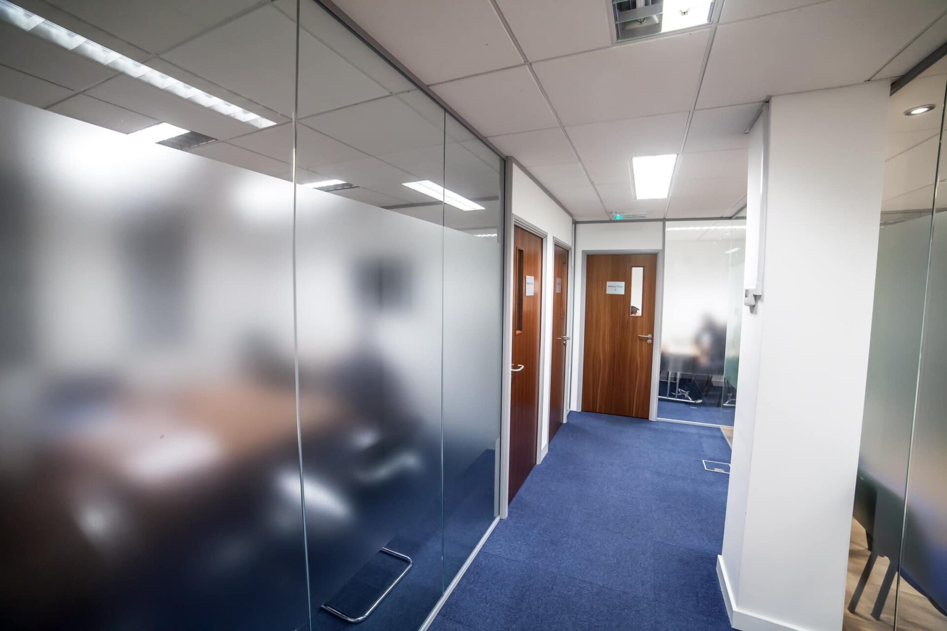 Frosted glass partition